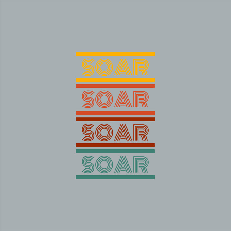 PBIS Soar